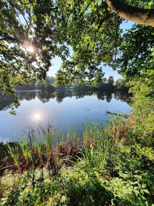 Ferienhaus Blauer See Mit Optionalem Hot-Tub Bockhorn  Exterior photo